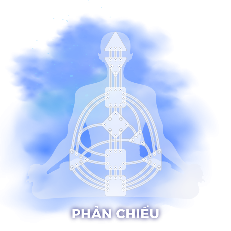 Reflector | Phải Chiếu